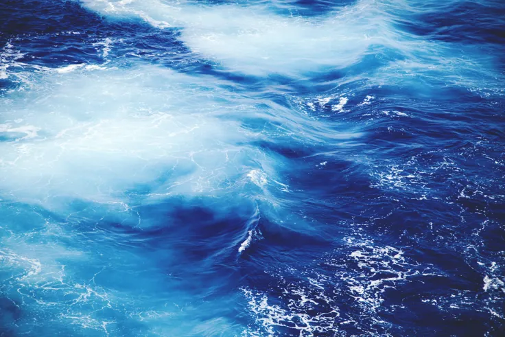 Wild Water